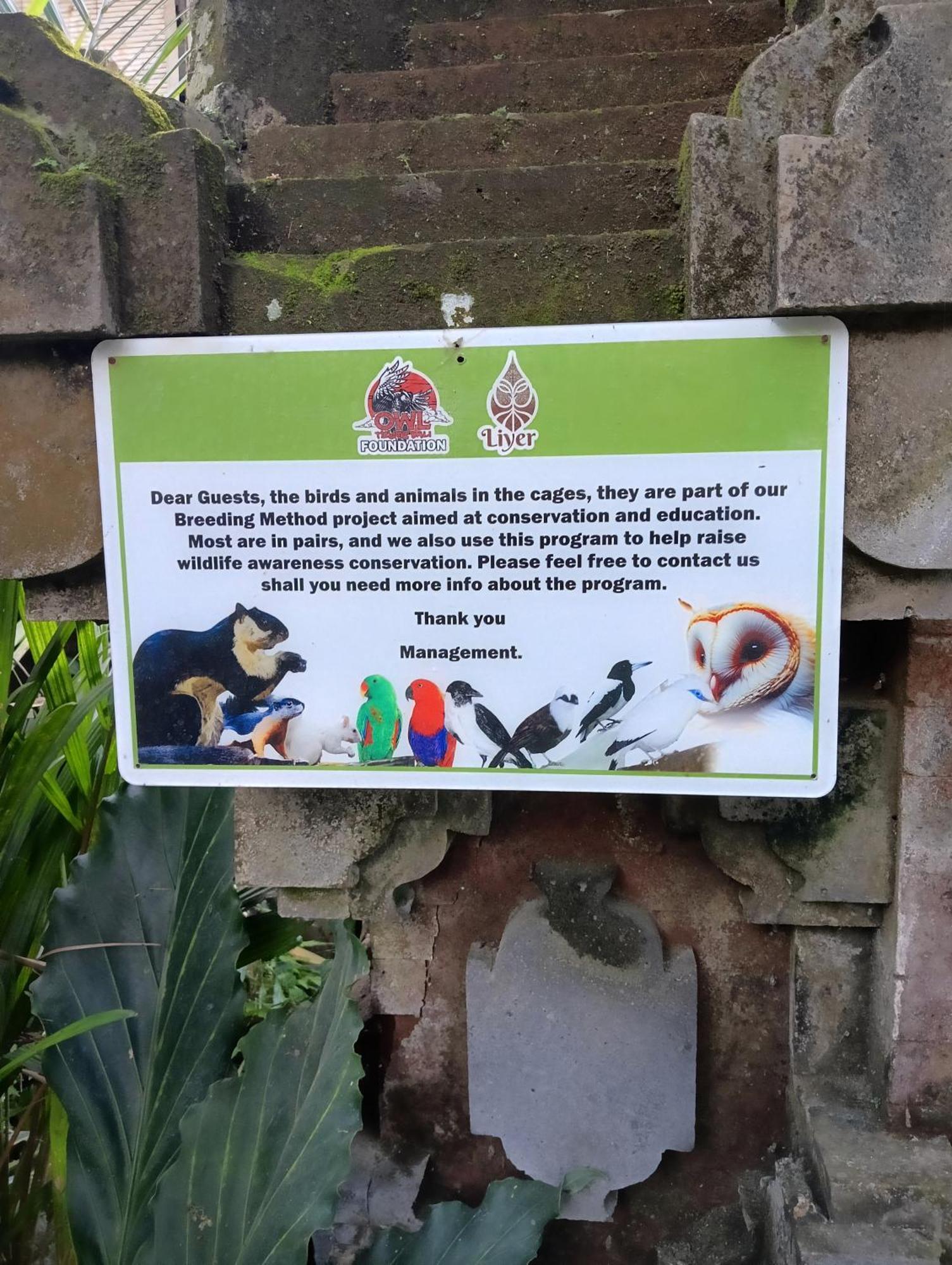Hotel Liyer Spirit House Ubud Zewnętrze zdjęcie