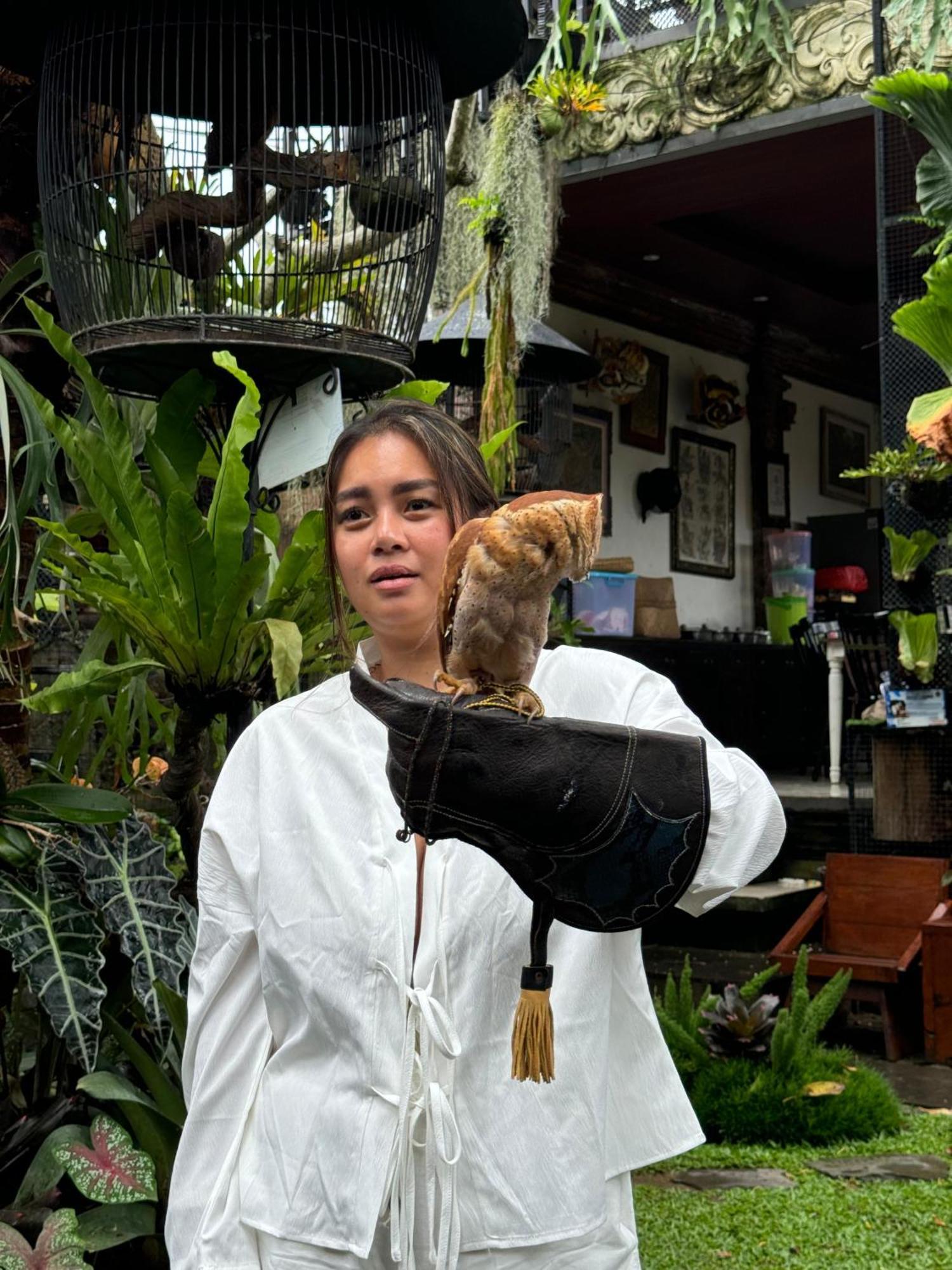 Hotel Liyer Spirit House Ubud Zewnętrze zdjęcie